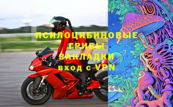 хмурый Алзамай