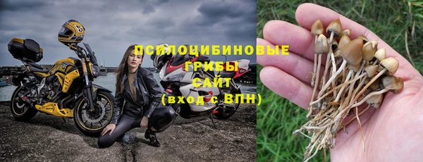 хмурый Алзамай